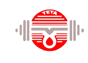 RAG TOP TETA SPORTS Koszulka Treningowa Dzianina 240g - 4