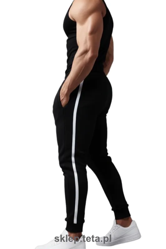 Męskie spodnie dresowe TETA SPORTS – joggery z lampasem, 3 grubości bawełny, 24 kolory